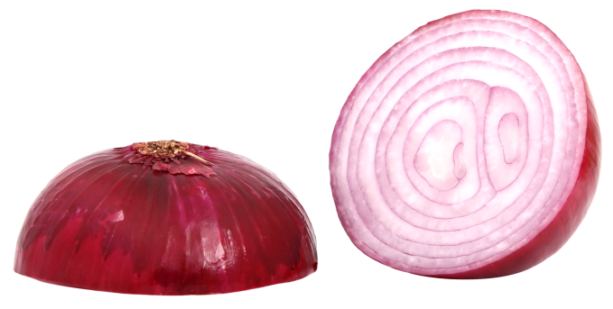TradeIndia Onion